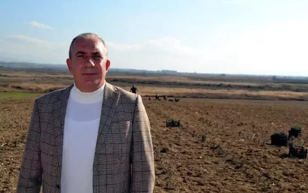 Salihli'de lavanta üretimine ilgi artıyor Salihli'de lavanta üretimine ilgi artıyor