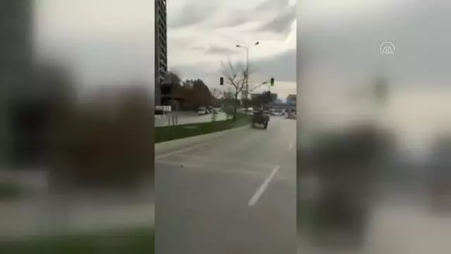 Seyir halindeki sahipsiz at arabası trafiği engelledi Seyir halindeki sahipsiz at arabası trafiği engelledi