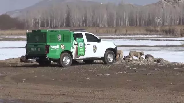 Van polisi 'can dostlar' için mesaide Van polisi 'can dostlar' için mesaide