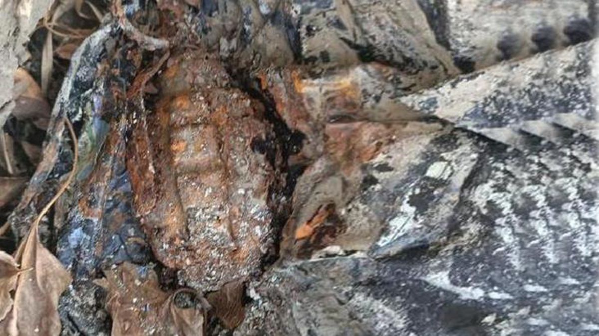 Ağaç kovuğuna gizlenmiş el bombası ele geçirildi