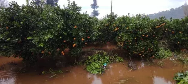 Antalya'da sağanak etkili oldu