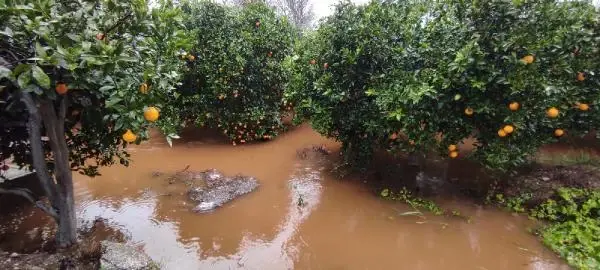 Antalya'da sağanak etkili oldu