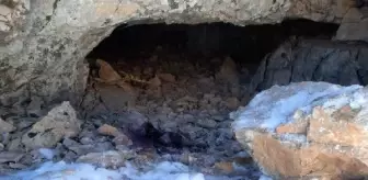 Son dakika... Bitlis'te, teröristlerin kullandığı mağaralarda amonyum nitrat ve yaşam malzemesi ele geçirildi