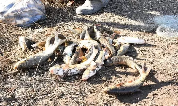 Kısıtlamadan çıkan amatör balıkçılar, Kızılırmak'a koştu Kısıtlamadan çıkan amatör balıkçılar, Kızılırmak'a koştu
