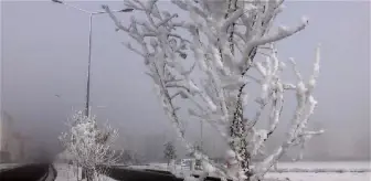 Kars'ta kırağı güzelliği