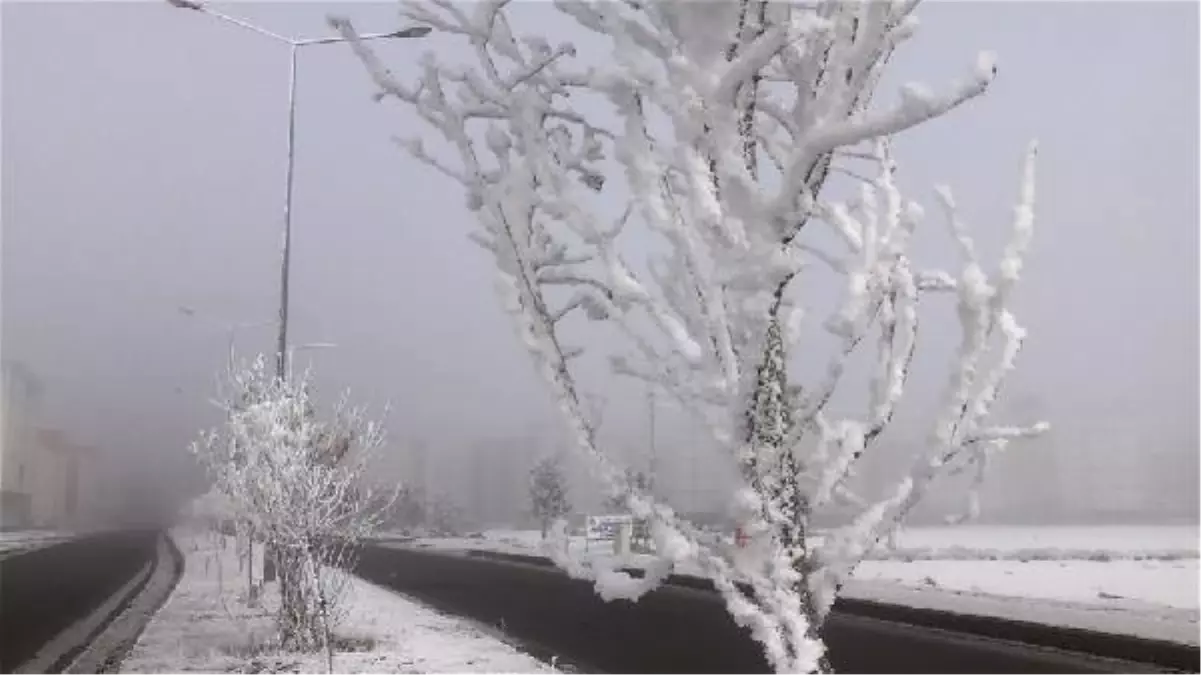 Kars'ta kırağı güzelliği