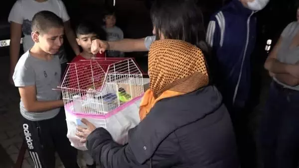 4 KATLI BİNADA ÇIKAN YANGINDA CAN PAZARI 4 KATLI BİNADA ÇIKAN YANGINDA CAN PAZARI