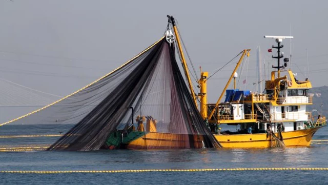Son dakika: İstanbul Boğazı ve Karadeniz'de hamsi avı 10 gün boyunca yasaklandı
