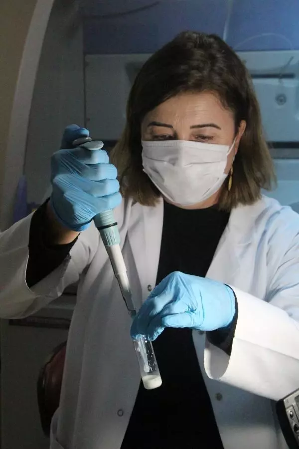 Anne sütüne karışan tarım ilaçlarının lösemiyle bağlantısı araştırılıyor Anne sütüne karışan tarım ilaçlarının lösemiyle bağlantısı araştırılıyor
