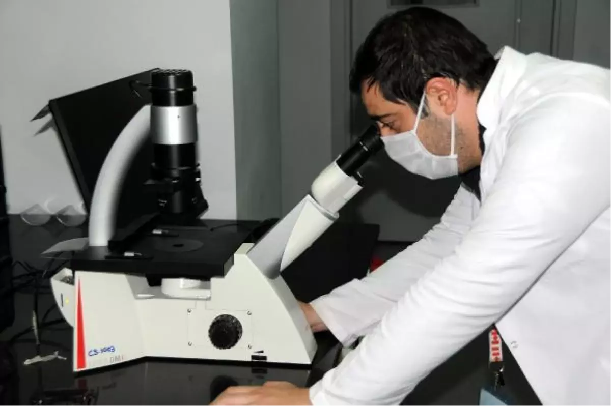 Bağırsak mikrobiyom analizi ile kolon kanserinin erken teşhisi mümkün