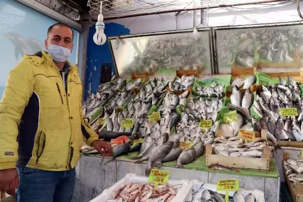 Son dakika haberi... 'Balon balığını küresel ısınma nedeniyle her yerde görmemiz mümkün'