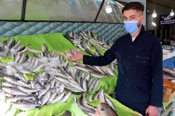 Son dakika haberi... 'Balon balığını küresel ısınma nedeniyle her yerde görmemiz mümkün'