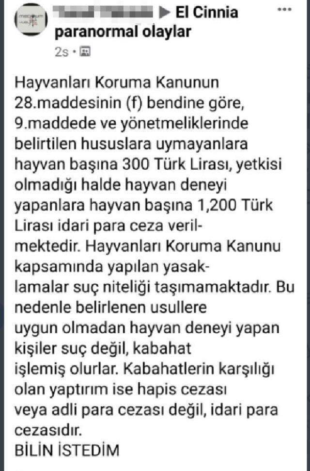 Boğazını kestiği tavuğu ateşe atıp, cinler alemine adadığını söyleyen kişi gözaltına alındı