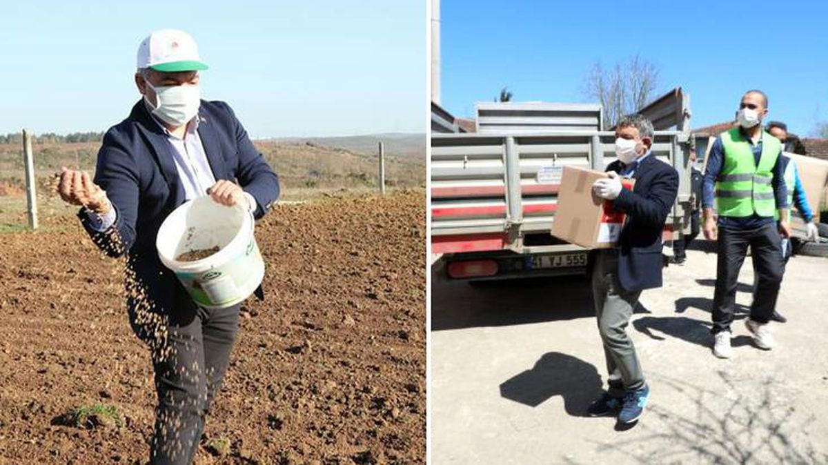 Bu başkan çok farklı! Yeri geliyor koli sırtlıyor, yeri geliyor tarlada tohum serpiyor