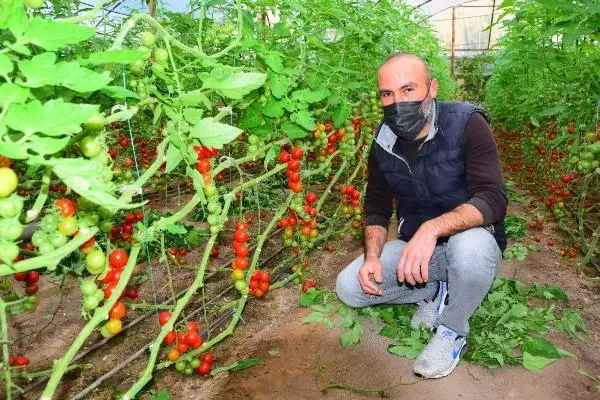 Felç olan köpeğine çocuğu gibi bakıyor