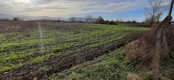 Kocaeli'de iki yatırım 3 bin 800 kişiyi iş sahibi yapacak Kocaeli'de iki yatırım 3 bin 800 kişiyi iş sahibi yapacak