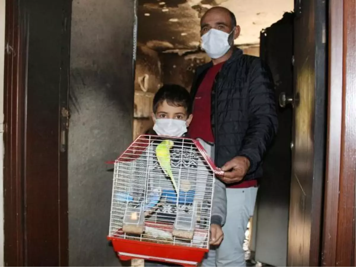 Oğlu 'Limon'um içeride kaldı' diye ağlayınca dumanın arasına girip kuşları kurtardı