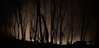 Trabzon'da örtü yangını