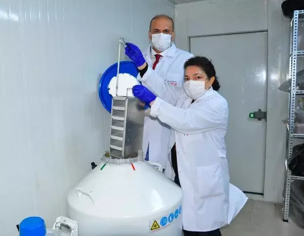 Üzümün geni, eksi 196 derecede geleceğe taşınıyor