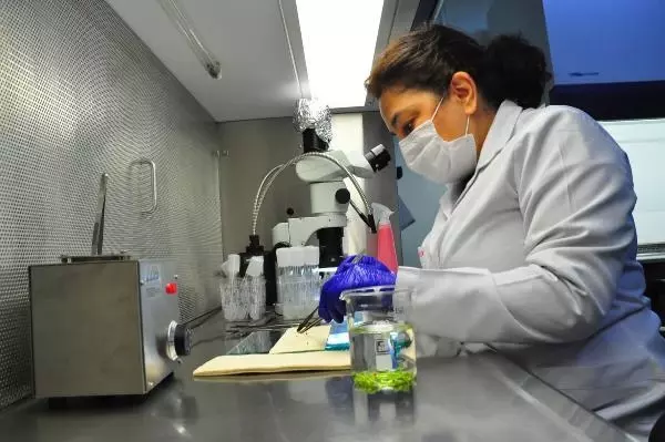 Üzümün geni, eksi 196 derecede geleceğe taşınıyor