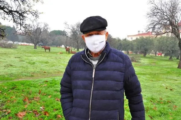 Aç kalan yılkı atları, şehir merkezine indi