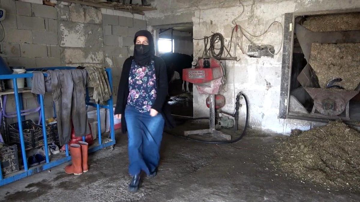 Kadın girişimci devletten hibe aldığı 6 düve ile hayvancılığa başladı, şimdi paraya para demiyor