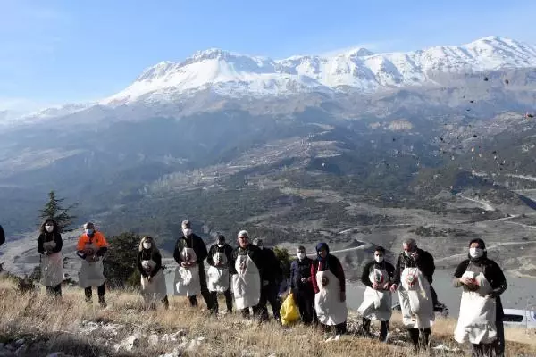 Kaşlı kadınların kozalaklardan çıkardığı tohumlar sedir ağacına dönüşüyor Kaşlı kadınların kozalaklardan çıkardığı tohumlar sedir ağacına dönüşüyor