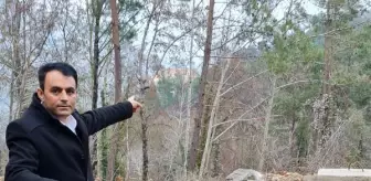 Harmankaya: Mahallenin iç suyu kaynağına boru çekip kaçak su kullanan mermer ocağına ceza Harmankaya: Mahallenin iç suyu kaynağına boru çekip kaçak su kullanan mermer ocağına ceza