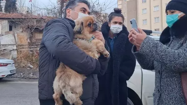 Medyuma hayvan besleme yasağı Medyuma hayvan besleme yasağı