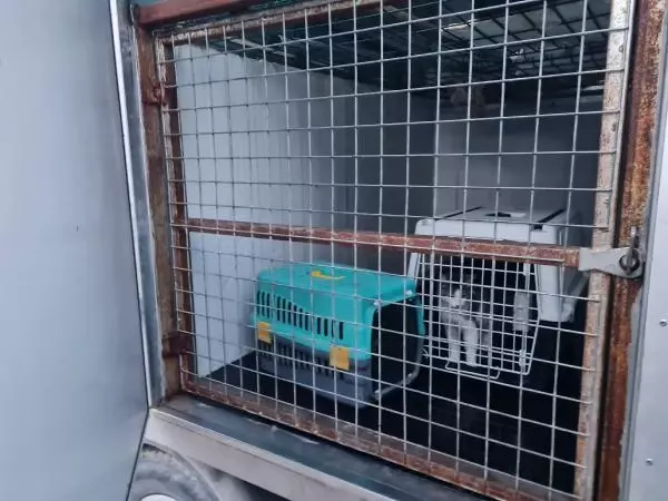 Medyuma hayvan besleme yasağı Medyuma hayvan besleme yasağı