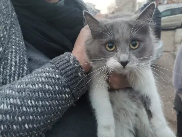 Medyuma hayvan besleme yasağı Medyuma hayvan besleme yasağı
