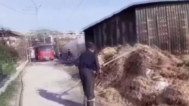 Saman ve buğday yüklü depoda çıkan yangın söndürüldü Saman ve buğday yüklü depoda çıkan yangın söndürüldü
