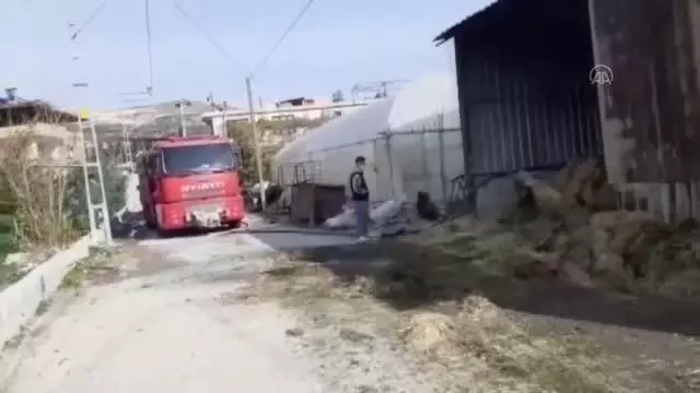 Saman ve buğday yüklü depoda çıkan yangın söndürüldü Saman ve buğday yüklü depoda çıkan yangın söndürüldü