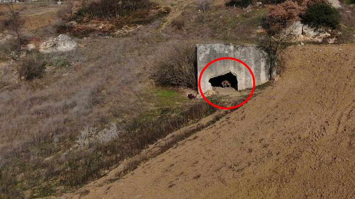 Tarlanın ortasında Roma dönemine ait olduğu düşünülen 2 bin yıllık kaya mezar bulundu