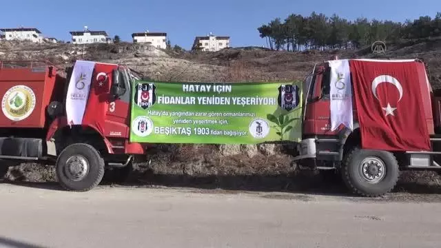Beşiktaş Kulübü, yanan ormanlara fidan dikti Beşiktaş Kulübü, yanan ormanlara fidan dikti