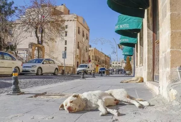 Mardin, kısıtlamanın ikinci gününde de sessiz Mardin, kısıtlamanın ikinci gününde de sessiz