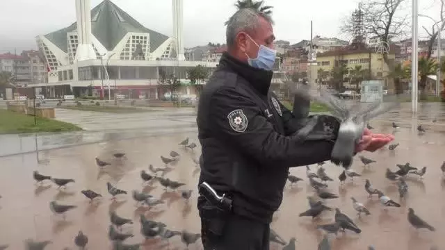 Sokak hayvanları kısıtlamada unutulmadı Sokak hayvanları kısıtlamada unutulmadı