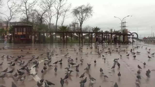 Sokak hayvanları kısıtlamada unutulmadı Sokak hayvanları kısıtlamada unutulmadı
