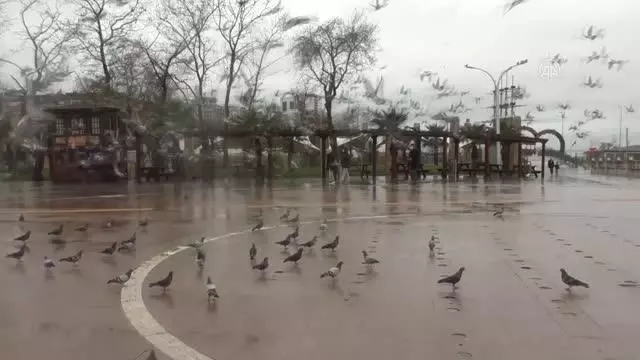 Sokak hayvanları kısıtlamada unutulmadı Sokak hayvanları kısıtlamada unutulmadı