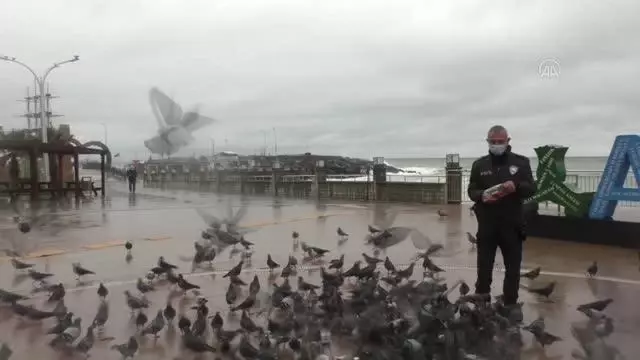 Sokak hayvanları kısıtlamada unutulmadı Sokak hayvanları kısıtlamada unutulmadı