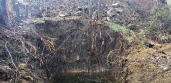 Tekirdağ'da kaçak define kazısı yapan 7 kişi yakalandı