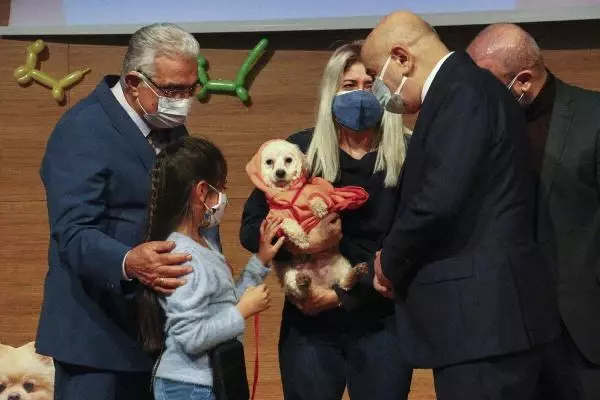 Ankara'da ses telleri kesilen 20 köpek kura ile sahiplendirildi Ankara'da ses telleri kesilen 20 köpek kura ile sahiplendirildi