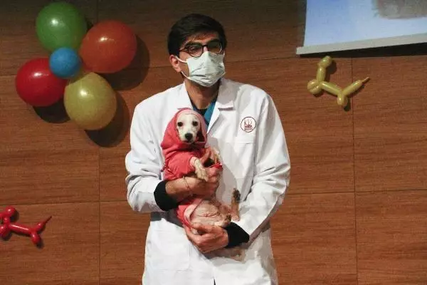 Ankara'da ses telleri kesilen 20 köpek kura ile sahiplendirildi Ankara'da ses telleri kesilen 20 köpek kura ile sahiplendirildi