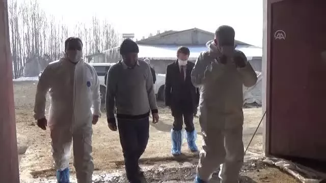 Çiftçilere 123 milyon lira hibe desteği sağlandı Çiftçilere 123 milyon lira hibe desteği sağlandı