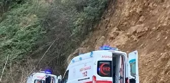Son dakika haber | 'Deli bal' yiyince hastanelik oldular