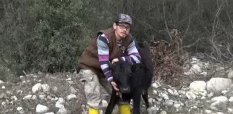 Engelli hibe desteğiyle hayvancılığa başladı, 8 olan hayvan sayısını 17'ye çıkardı