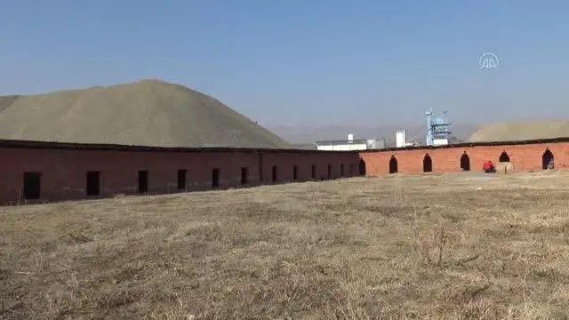 Gönüllü gençlerin kurduğu barınaklar sokak hayvanlarına yuva oldu Gönüllü gençlerin kurduğu barınaklar sokak hayvanlarına yuva oldu