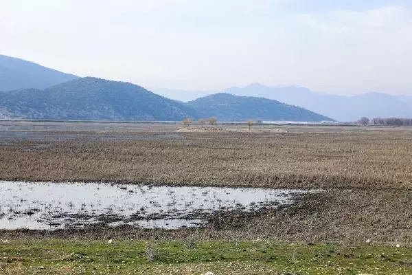 Son dakika haberleri | Kuruyan Avlan Gölü, koyun ve keçi sürülerine kaldı Son dakika haberleri | Kuruyan Avlan Gölü, koyun ve keçi sürülerine kaldı