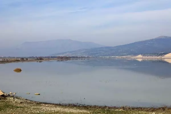 Son dakika haberleri | Kuruyan Avlan Gölü, koyun ve keçi sürülerine kaldı Son dakika haberleri | Kuruyan Avlan Gölü, koyun ve keçi sürülerine kaldı