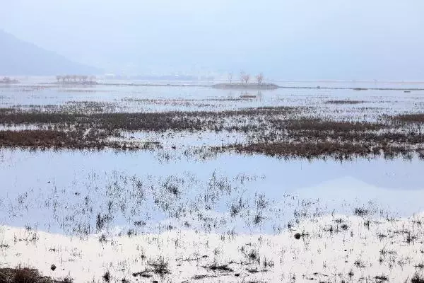 Son dakika haberleri | Kuruyan Avlan Gölü, koyun ve keçi sürülerine kaldı Son dakika haberleri | Kuruyan Avlan Gölü, koyun ve keçi sürülerine kaldı